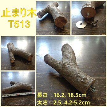 止まり木（枝：TOY-08-015）T513の画像