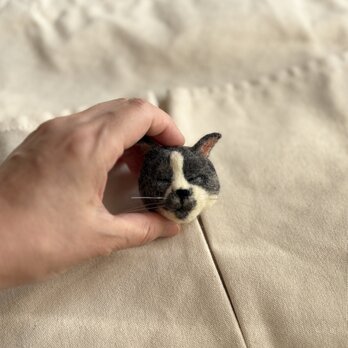 ハチワレグレー猫のブローチの画像