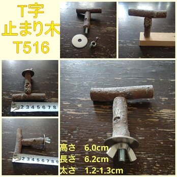 止まり木（枝：TOY-23-004) 　T516