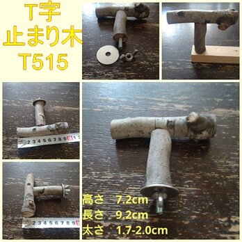 止まり木（枝：TOY-23-004) 　T515の画像