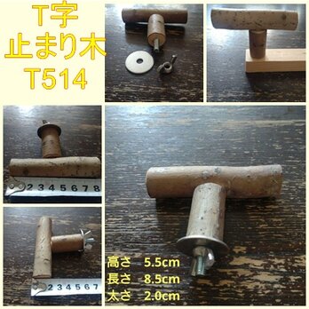 止まり木（枝：TOY-23-004) 　T514の画像