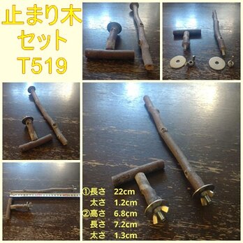 止まり木セット（枝：TOY-08-015、TOY-23-004）T519の画像
