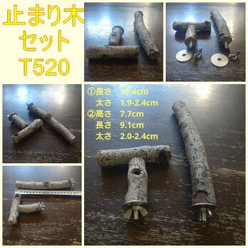 止まり木セット（枝：TOY-08-015、TOY-23-004）T520の画像