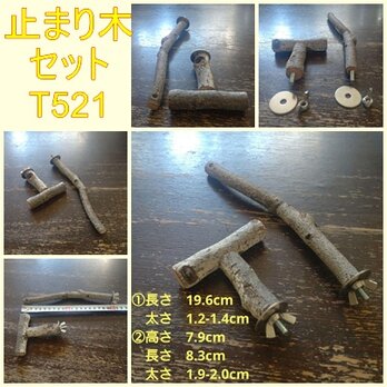 止まり木セット（枝：TOY-08-015、TOY-23-004）T521の画像