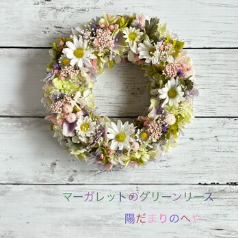 初夏の風薫る！マーガレットのグリーンリースの画像
