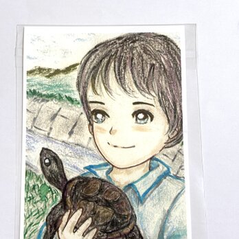 亀と男の子の画像