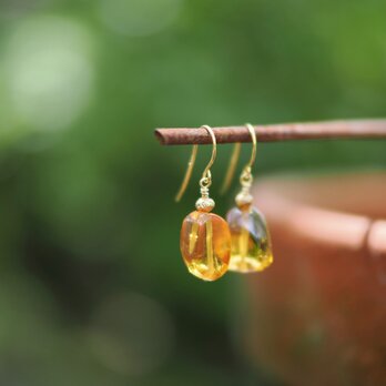 -Burmite- gold pierceの画像