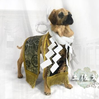 土佐犬　土佐闘犬　可動　完全オリジナル　羊毛フェルト　アートドールの画像
