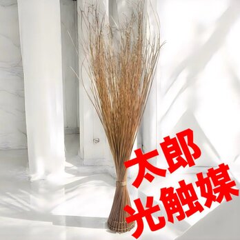 光触媒　人工観葉植物　ウォールグリーン　フェイクグリーン　ゴールドブランチ964の画像