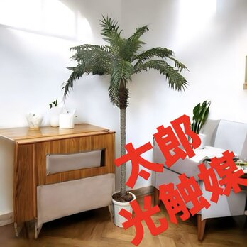 光触媒　人工観葉植物　ウォールグリーン　フェイクグリーン　フェニックス210dj