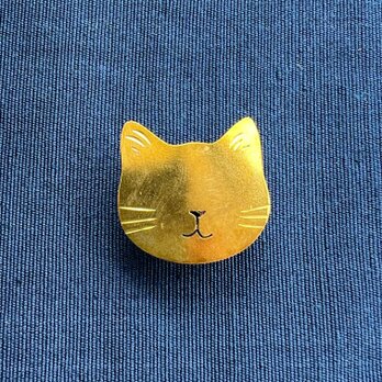 猫　和洋兼用『掌のジュエリー』　おとぼけねこ、でいご　3歳　男の子の画像