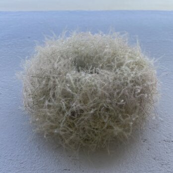 ふわふわのスモークツリーのリース