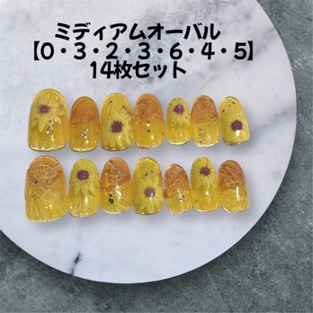 〚現品販売〛ひまわりアートとチェリーレッドの輝き✧大人可愛い夏のニュアンスネイル｜14枚セット