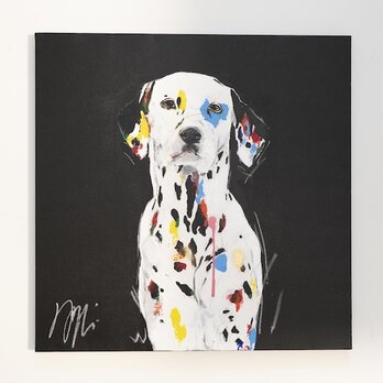 "Dalmatian / ダルメシアン"の画像