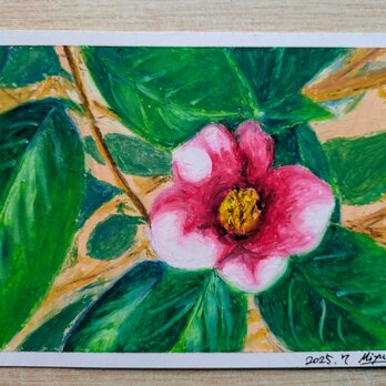 椿のクレヨン画(胡蝶侘助②)の画像
