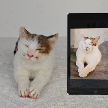 【受注作製】羊毛フェルト、うちの子、猫ぬいぐるみ、フェルト猫、ペットの肖像画、犬猫人形、トイプードル、ペットロス、うちのこ記念日の画像