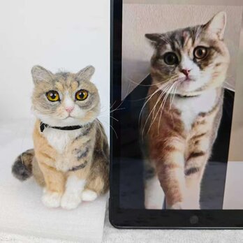 【受注作製】羊毛フェルト、うちの子、猫ぬいぐるみ、フェルト猫、ペットの肖像画、犬猫人形、トイプードル、ペットロス、うちのこ記念日の画像