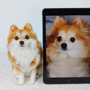 【受注作製】羊毛フェルト、うちの子、犬ぬいぐるみ、フェルト犬、ペットの肖像画、犬猫人形、トイプードル、ペットロス、うちのこ記念日の画像