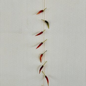 革ばな 唐辛子(B)の画像
