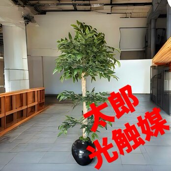 光触媒　人工観葉植物　ウォールグリーン　フェイクグリーン　イタリアンベンジャミン13055