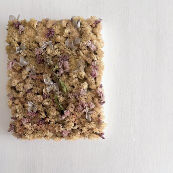 フラワーアート/スターチスイエロー