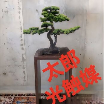 光触媒　人工観葉植物　ウォールグリーン　フェイクグリーン　盆栽bonsai