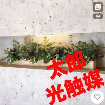 光触媒　人工観葉植物　ウォールグリーン　フェイクグリーン　壁掛けウッドボックスＤＸの画像