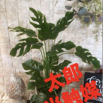 光触媒　人工観葉植物　ウォールグリーン　フェイクグリーン　pモンステラjpの画像