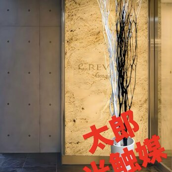 光触媒　人工観葉植物　フェイクグリーン　ブラックホワイトブランチ花器付の画像