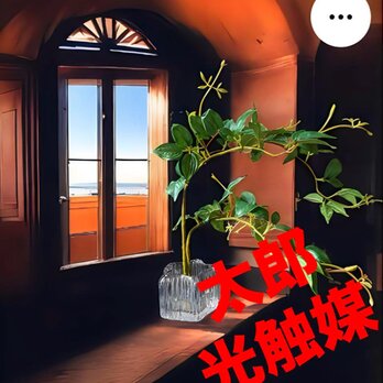 光触媒　人工観葉ウォールグリーン　フェイクグリーン　マジカルウォーター　バインリーフ花器付きの画像