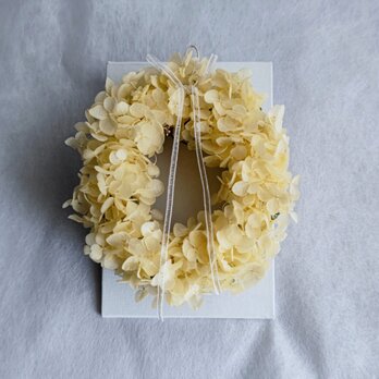 mini canvas wreath （lemon）の画像
