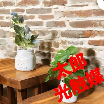 光触媒　人工観葉植物　ウォールグリーン　フェイクグリーン　モンステラとペリーの画像