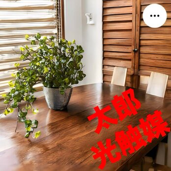 光触媒　人工観葉植物　ウォールグリーン　フェイクグリーン　ベンジャミンバロックＫの画像