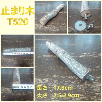 止まり木（枝：TOY-08-015）T520の画像