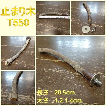 クワガタの通販 | iichi 日々の暮らしを心地よくする