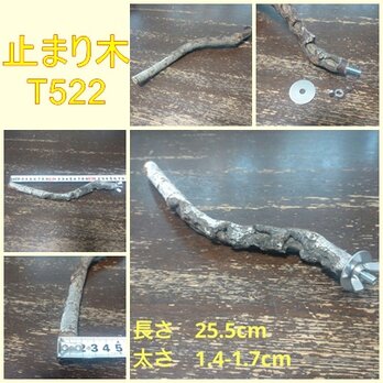 止まり木（枝：TOY-08-015）T522の画像