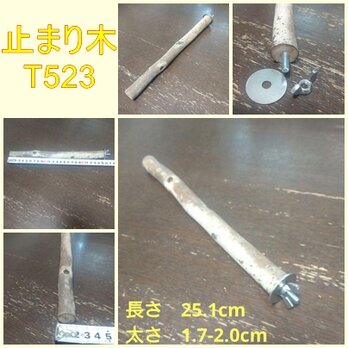 止まり木（枝：TOY-08-015）T523の画像
