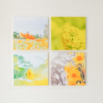 【ハッピーイエロー】ましかくフォトパネル 4枚組の画像