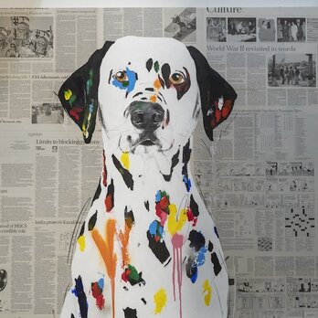 "Dalmatian / ダルメシアン"の画像