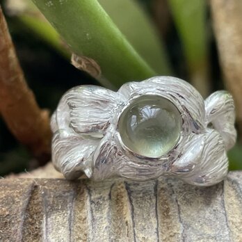 雨粒と葉っぱのリングの画像