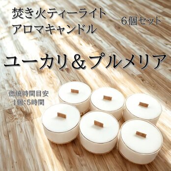 【焚き火ティーライトキャンドル】ユーカリ＆プルメリア【アロマキャンドル】の画像