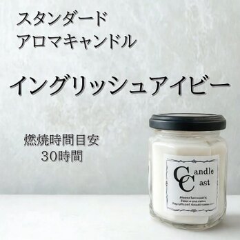 【スタンダードアロマキャンドル】イングリッシュアイビー【ソイキャンドル】
