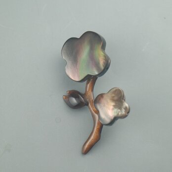 マザーオブパールの花