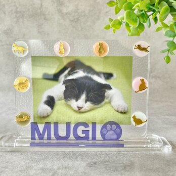 【名入れ】うるつやマグネット　 「ねこシルエット」アクリルフォトフレーム　L判　透明　クリア　くすみカラー　ベビー　ペット　の画像