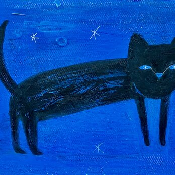 CAT-宙