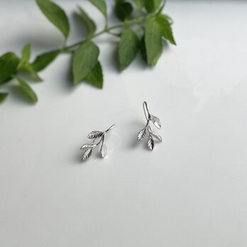 mint ピアス〈銀- silver〉の画像