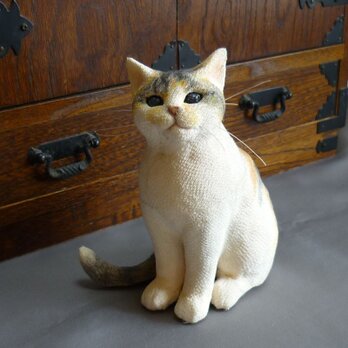 オーダーメイドにゃんこ