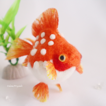 たゆたう金魚モビールS-ピンポンパール-の画像