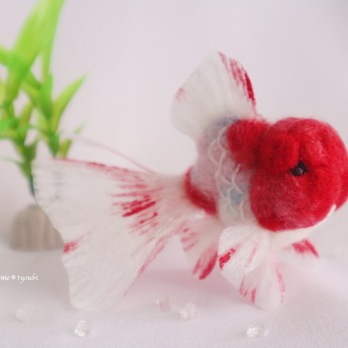 たゆたう金魚モビールS-桜オランダ-の画像