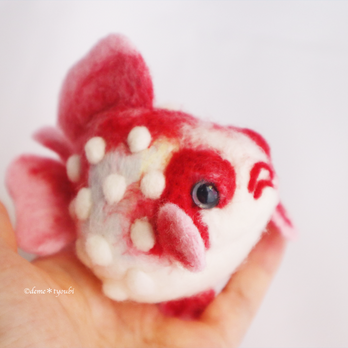 大きな桜ピンポンの画像
